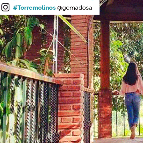 Blog-Molino-de-Inca-en-Torremolinos-1